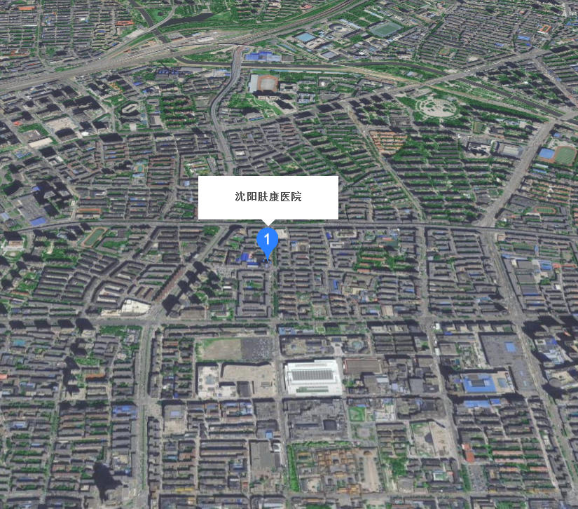 沈阳肤康皮肤病医院地址